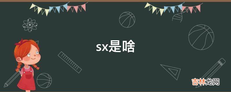 sx是啥?