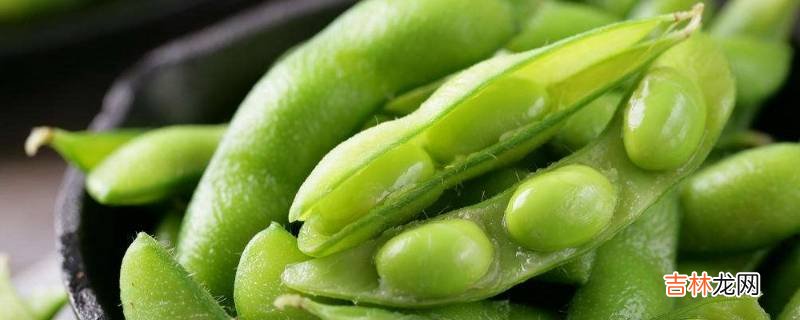 毛豆怎么变成圆的黄豆?