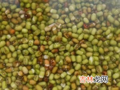 在家怎么养绿豆芽?