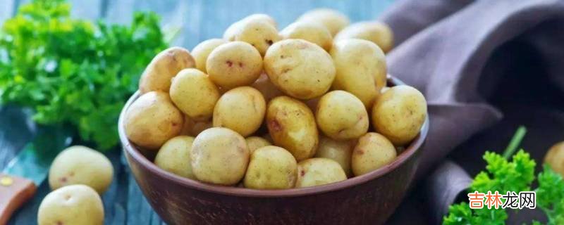 烤箱烤土豆要先煮一煮吗?