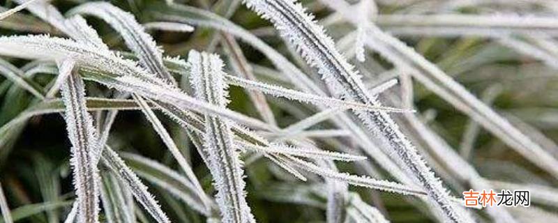 打霜是什么季节?