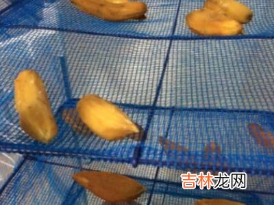 山芋干怎么晒?