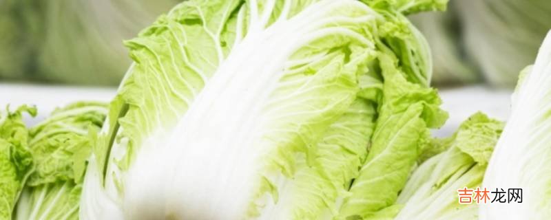 越冬蔬菜有哪些?