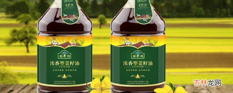 GB1536是纯菜籽油吗?