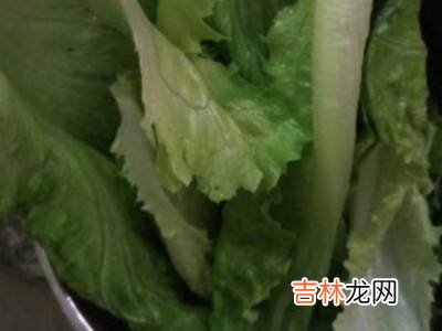 生菜怎么洗?