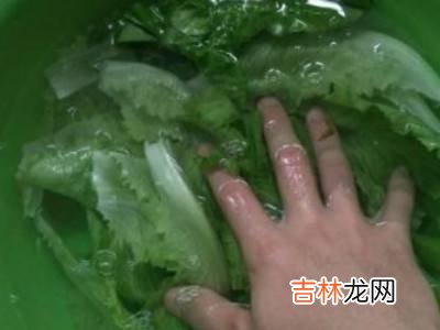 生菜怎么洗?