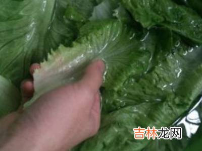 生菜怎么洗?