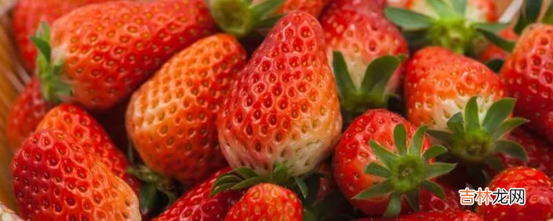 草莓季节几月到几月?