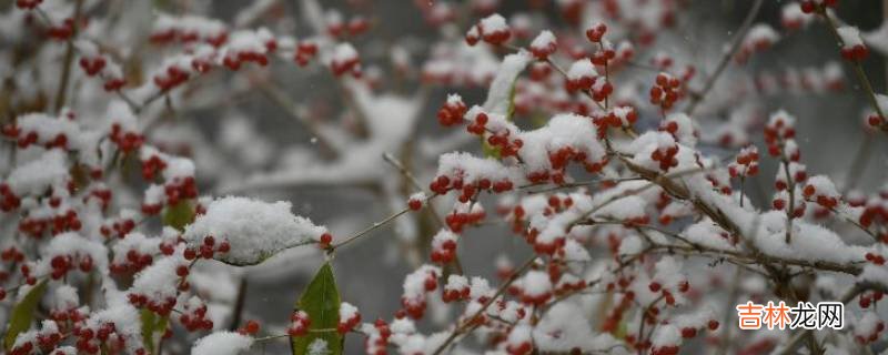 下雪的条件有哪些?