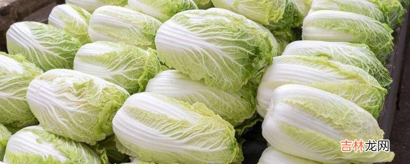 怎样储存大白菜?