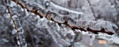 冻雨和雪有什么区别?