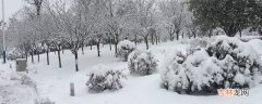 干雪和湿雪的区别?