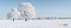 下雪的时候会打雷吗?