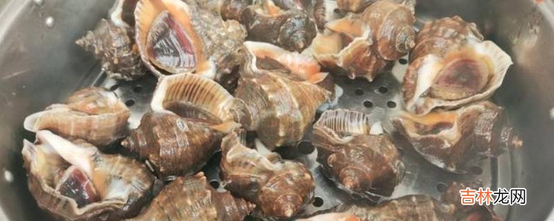 海螺煮几分钟?