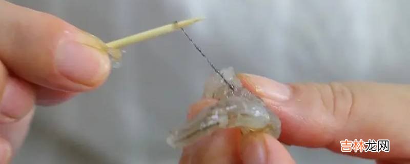 挑虾线是什么意思?