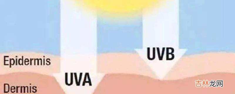 uvb是啥意思?