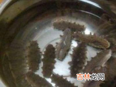 如何发海参?