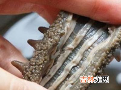 如何发海参?