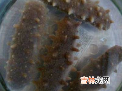 如何发海参?