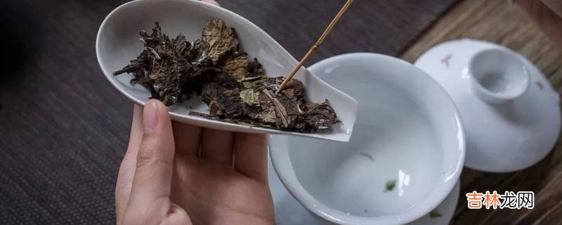 茶饼怎么泡茶?