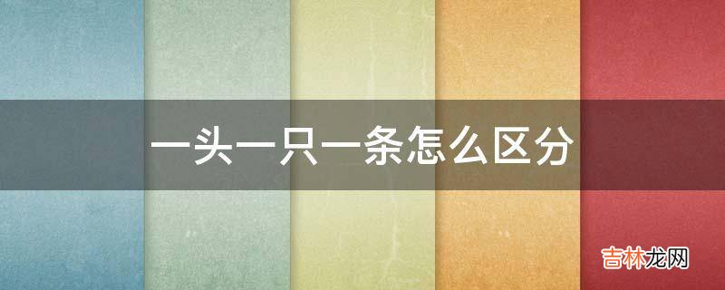 一头一只一条怎么区分?
