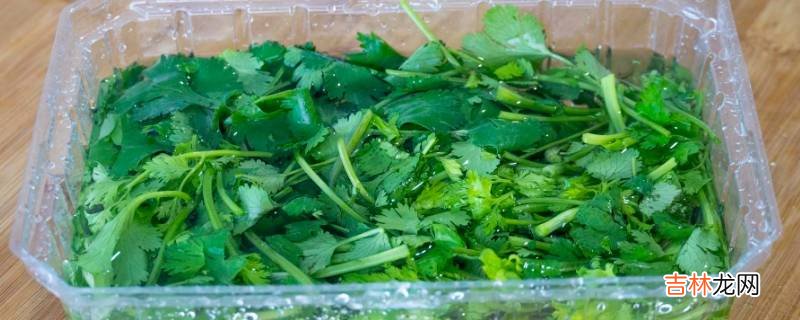 怎樣儲存香菜?