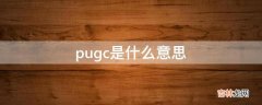 pugc是什么意思?