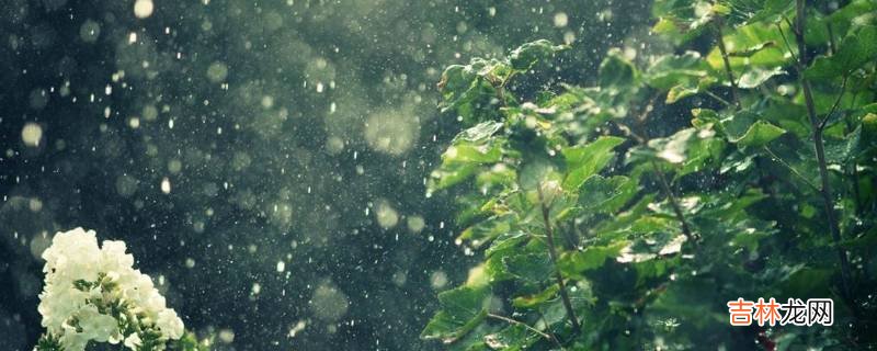 雨后无论是花草还是树木都怎么了?