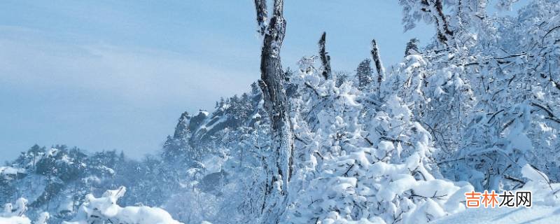 大雪节气能理发吗?