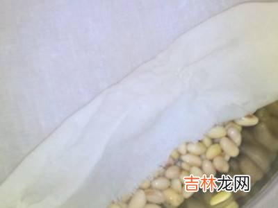 怎么发黄豆芽?