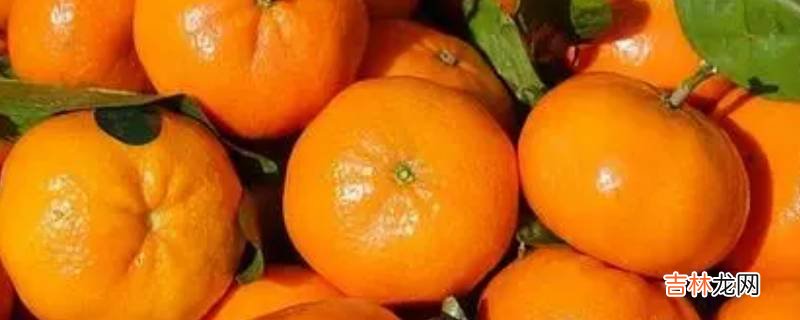 橘子可以放微波炉加热吗?