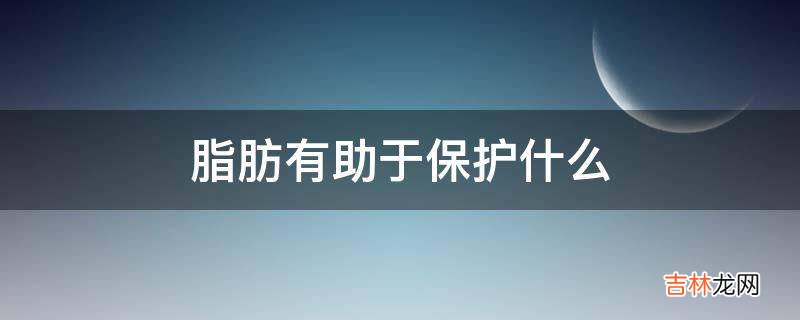 脂肪有助于保护什么?