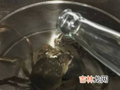 大闸蟹清洗方法?