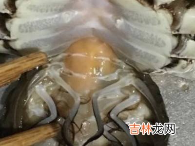 大闸蟹清洗方法?