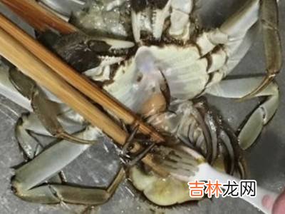 大闸蟹清洗方法?