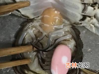 大闸蟹清洗方法?