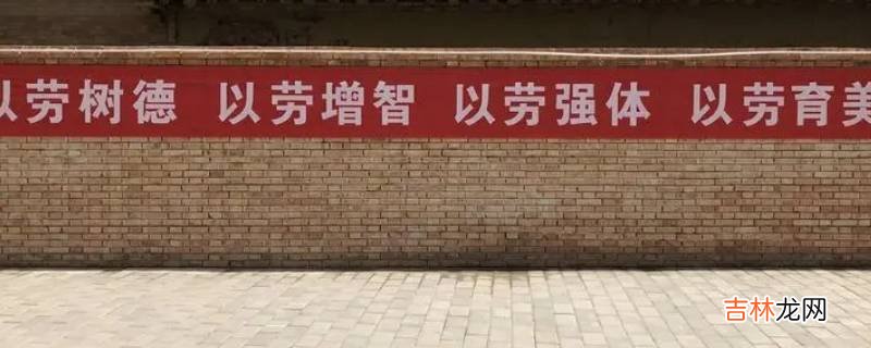 劳育指什么?