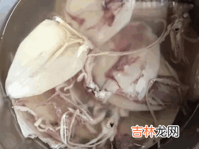 怎样泡发干鱿鱼?