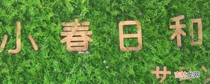 小春日和寓意什么?