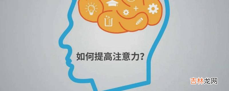 如何提高注意力和专注力?