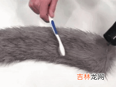 真皮毛领在家怎么清洗?