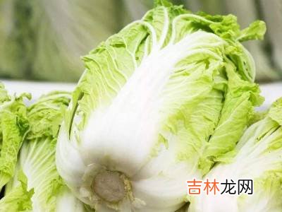 大白菜怎么保存时间长?