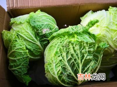 大白菜怎么保存时间长?