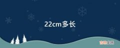 22cm多长?