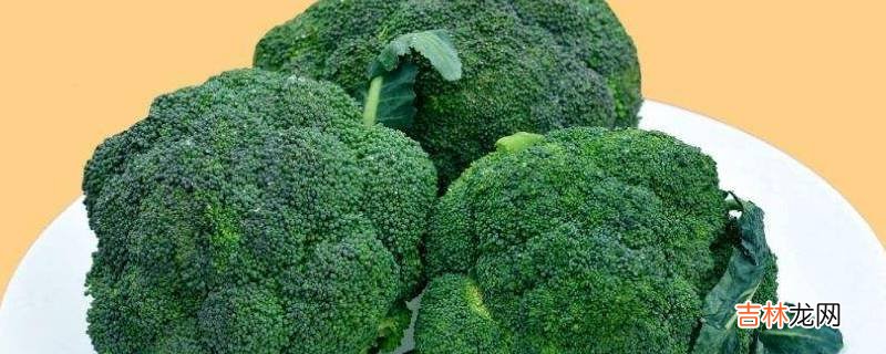 水煮菜可以煮哪些菜?