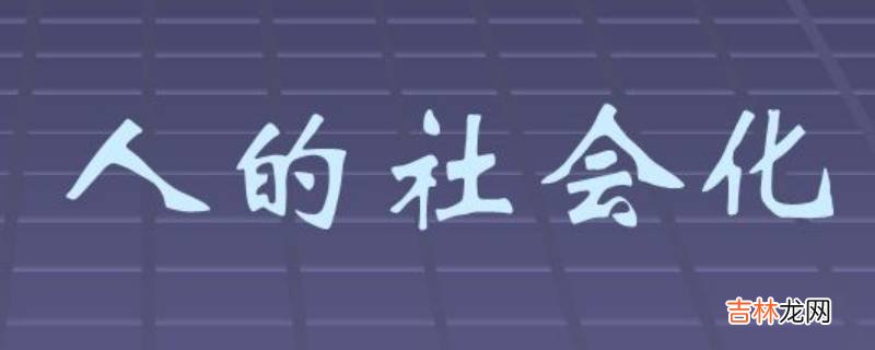 人是如何社会化的?