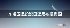 东道国是投资国还是被投资国?