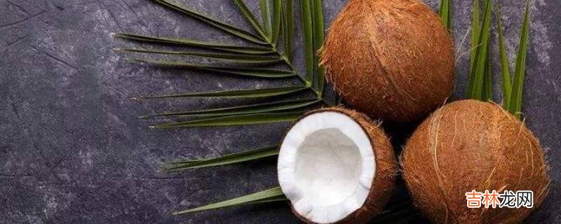 无工具开椰子技巧?