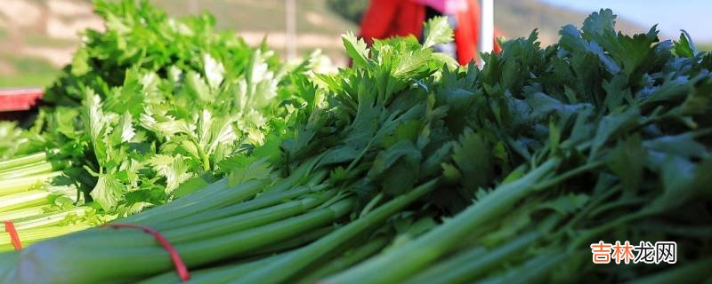 感光食物有哪些水果蔬菜?