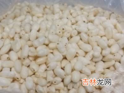 用大米怎样制作大米花?